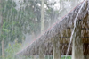 Heavy rain, strong winds, and rough sea conditions likely in coastal Karnataka till July 27: IMD